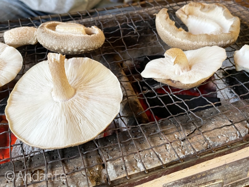 お山のたいしょう（小田原）